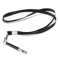 Model 2