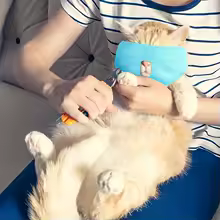 Breathable Cat Muzzle Anti Biting Grooming Supplies