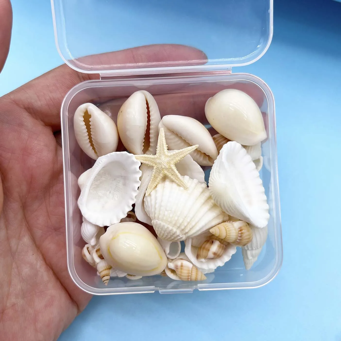 Thumbnail 4 - #31 Latest Vase Fillers Offers