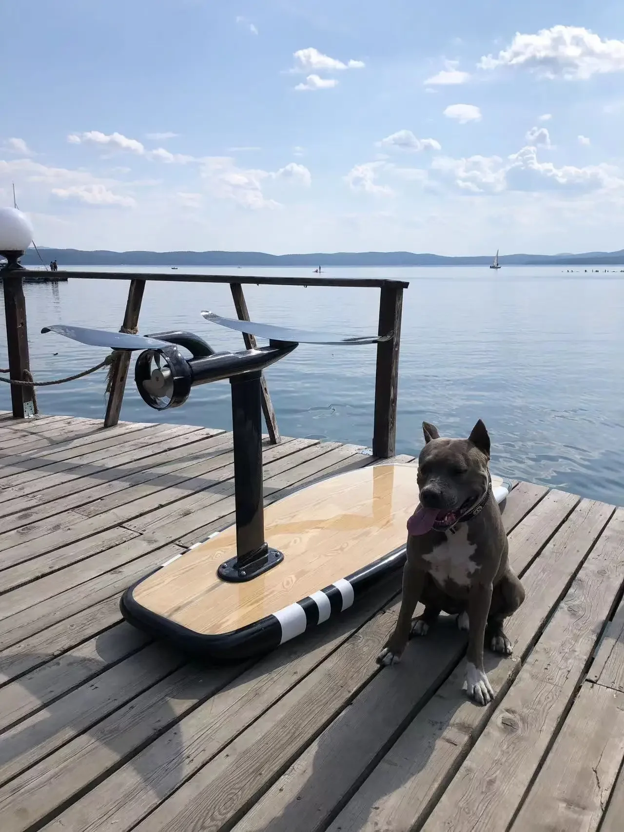 BESTEVE-Unisex Fibra De Carbono Esporte Prancha, Efoil Elétrica Surf Board para Esportes Marinhos, Novo