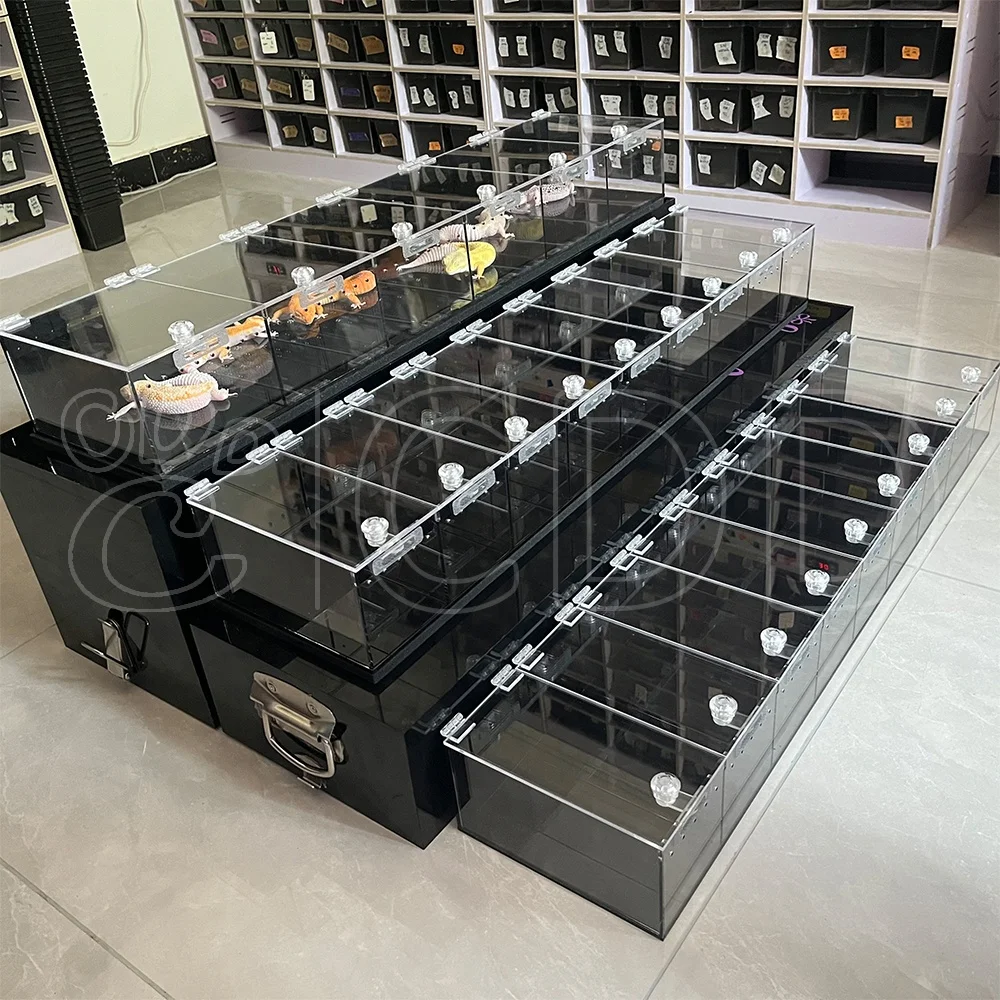 Custom 3-Shelf Luxury Acrylic Terrarium Enclosure Tank Transparent Reptile Breeding Box Cage for Pet