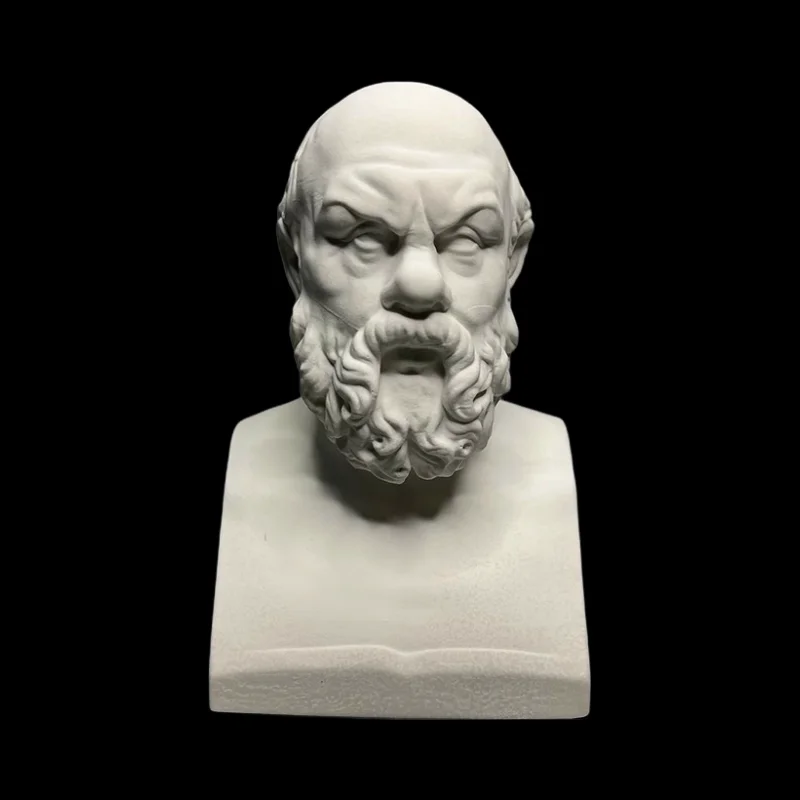 

Advanced Art Ornaments Socrates Gypsum Sculpture Decoration Aesthetic Art Sketch Teaching Aid Modern Room Decoration Figurine