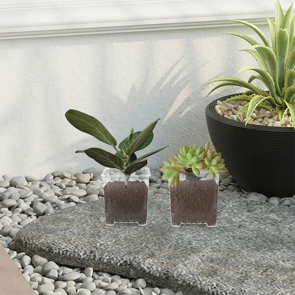 Square Flower Pots Highly Transparent Orchid Orchids Flowerpot Acrylic Planters