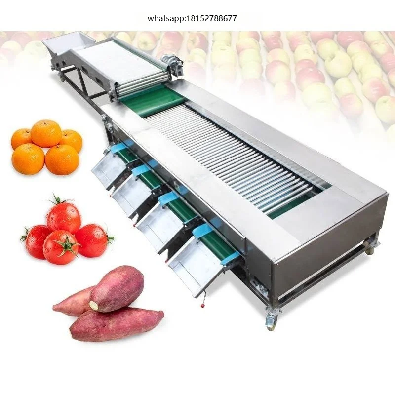 Onion Sweet Potato Tomato Commercial Vegetable Leaf Fruit Size Grader Sorting Grading