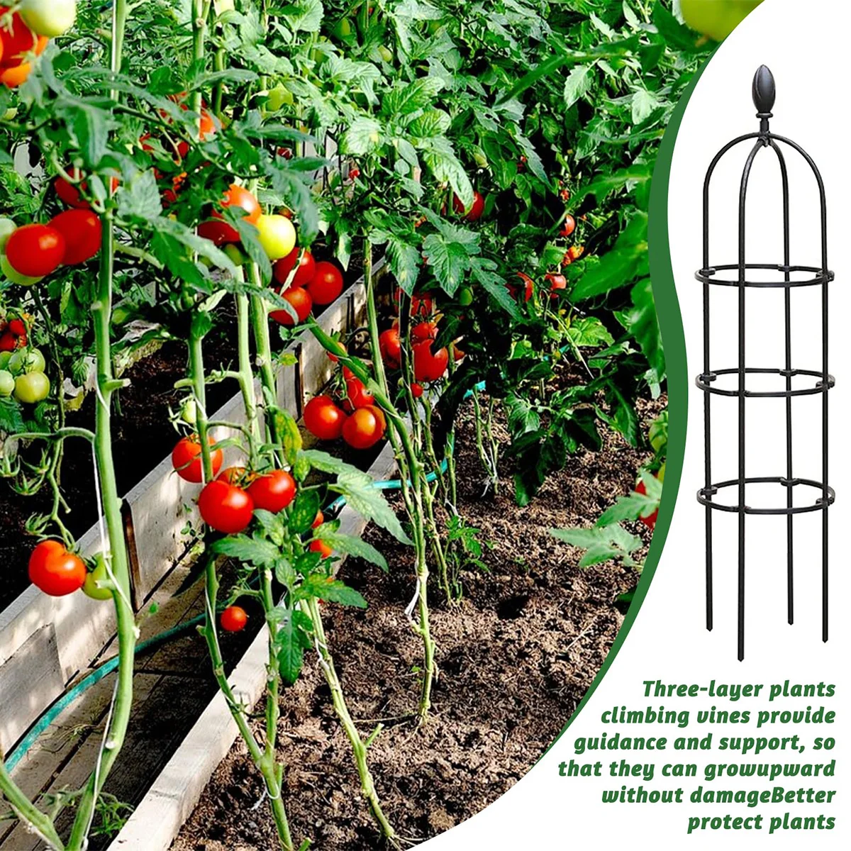Kletterpflanzen-Spalier, Gartenstütze, 60 cm/24 Zoll, DIY-Blumenranken, Käfig für Töpfe, Pflanzen im Freien, Tomaten, rostfreier Metallständer