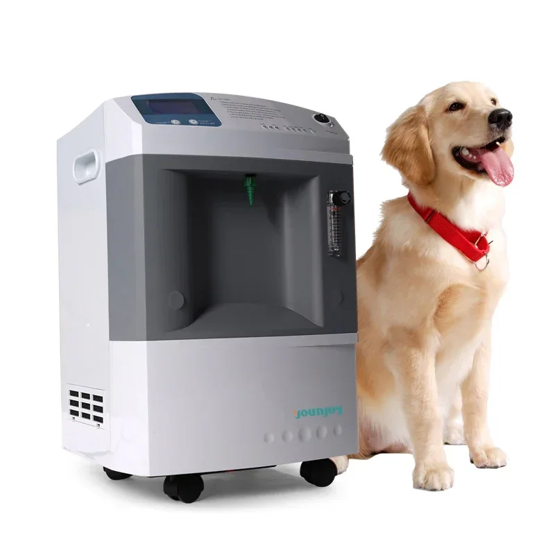 

Dog Cat Pet Used Oxygen Concentrator with Hyperbaric Chamber