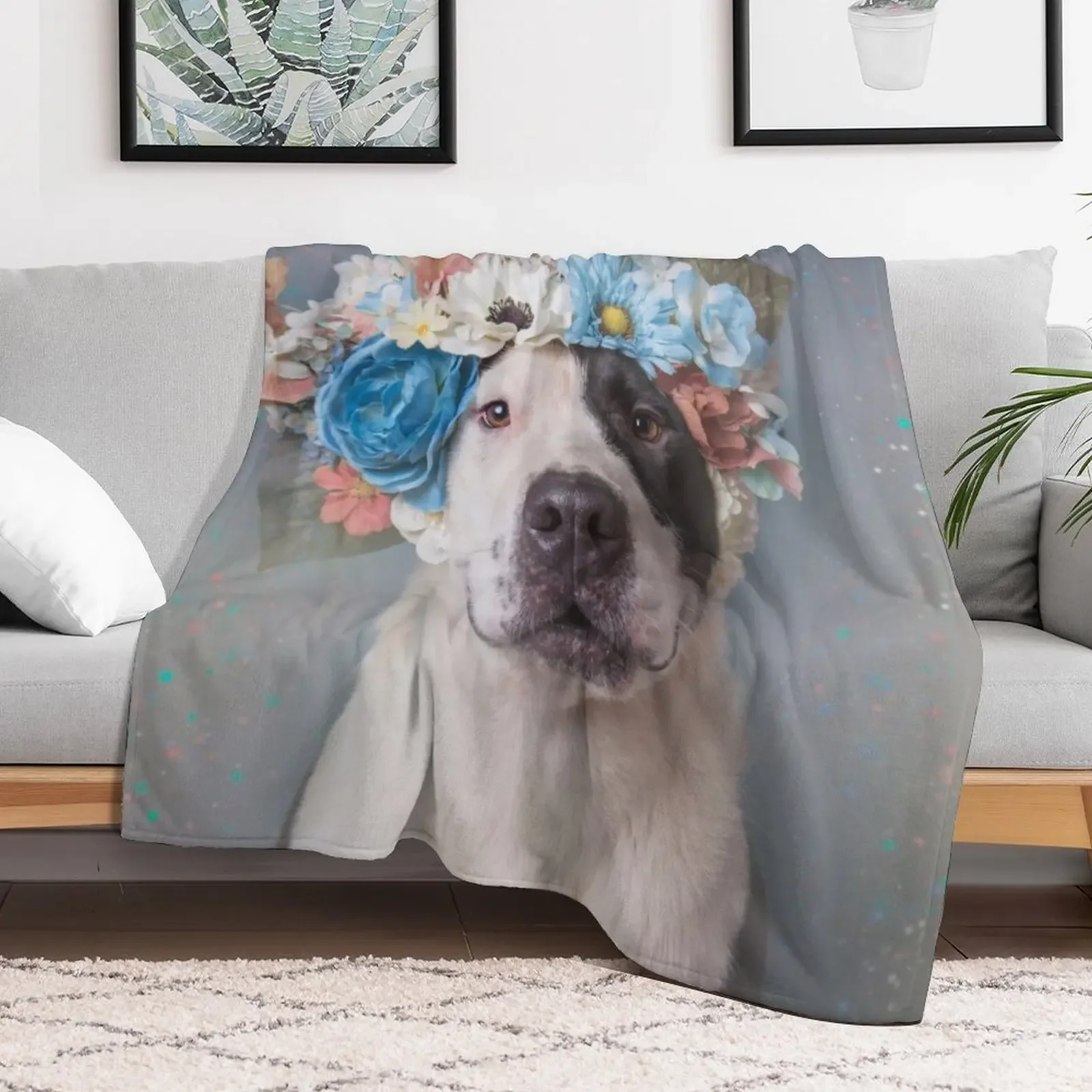 Pit Bull Flower Power, Perry Carter Throw Blanket Spring Fall Cozy Throw Blanket for Couch