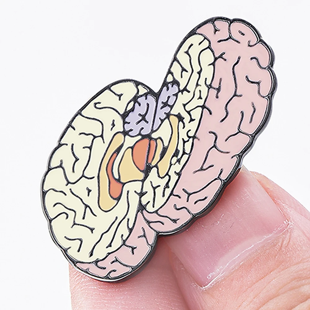 Medsor Funny Brain Anatomy Medicine Brooch Enamel Pin for Doctor Medico Creative Lapel Backpack Badge Accessories Gifts