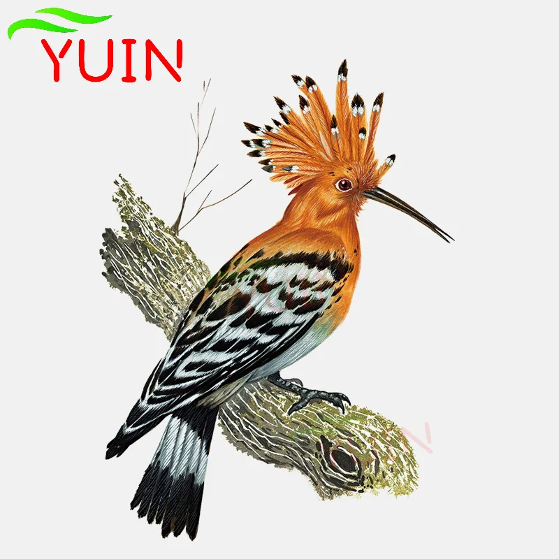 Hoopoe Yellow-brown Toucan Car Sticker Animal Stickers Auto Accessories Fashion PVC Bumper Decorative Waterproof Decal 17*12cm