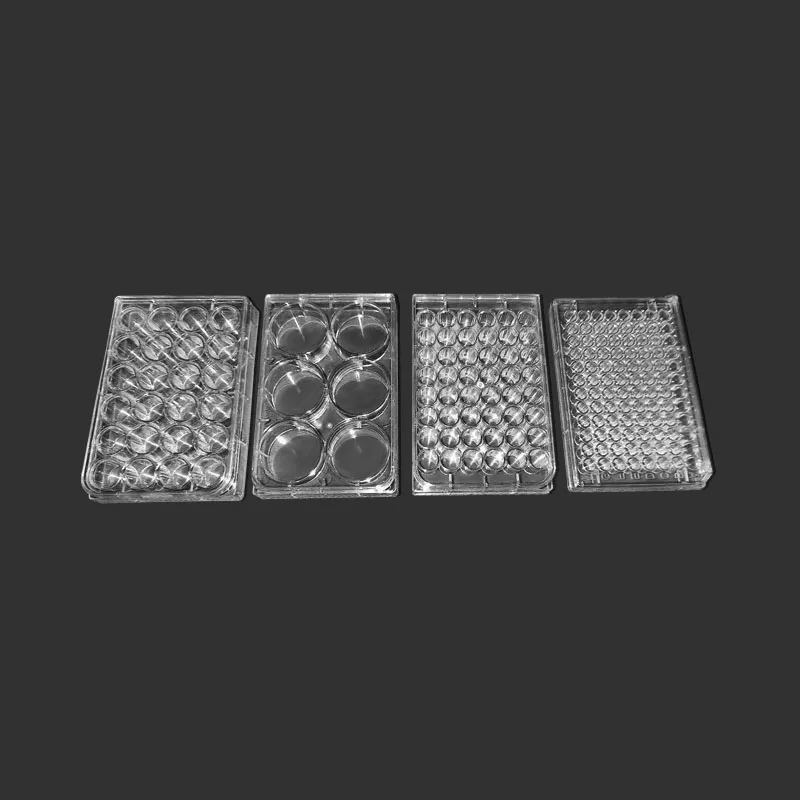 6/24/48/96 hole Disposable Cell culture plate Bacterial culture plate enzyme label plate sterilization packaging Lab supplies