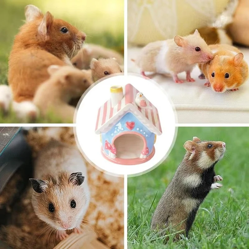 لحم الخنزير-امستر مخبأ لطيف يختبئ شينشيلوهوت قفص الحيوانات الأليفة الملحقات جربيل المنازل والمخبأات الحيوانات الصغيرة