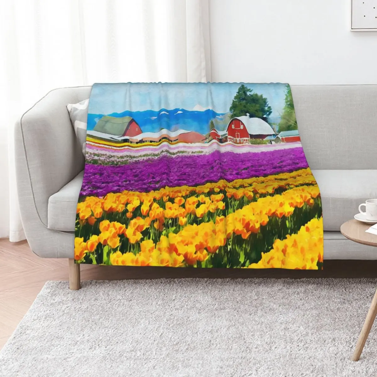 Skagit Valley Throw Blanket Fashion Sofas Baby Blankets For Sofas Plush Tourist Plaid on the sofa Blankets