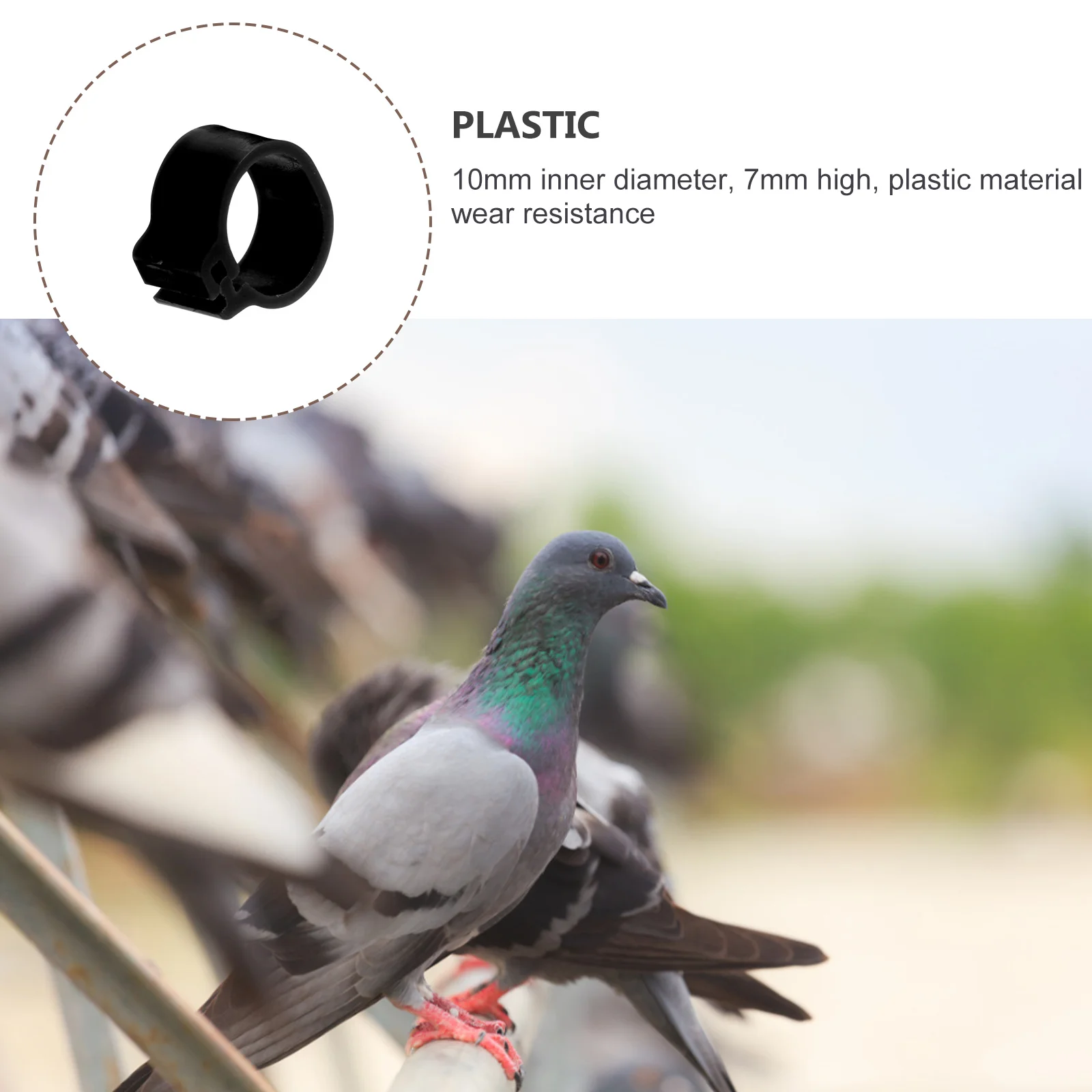 

100Pcs Pigeon Foot Rings Durable Plastic Clip-on Leg Bands Identification Bands Practical Accessories for Bird Breeding