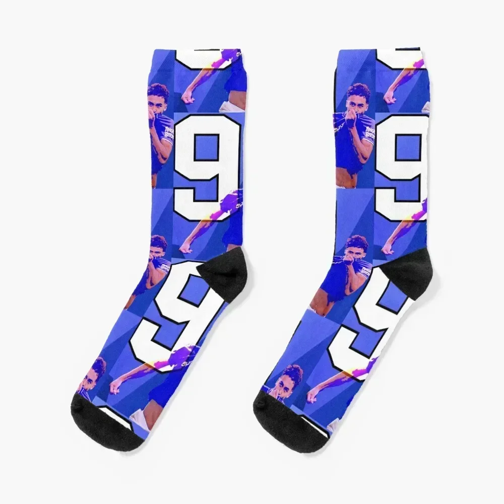 Dcl 9 Socks Kawaii … - image