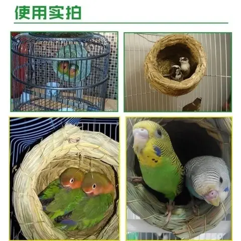 8 best sales चिड़ियाघर - №6