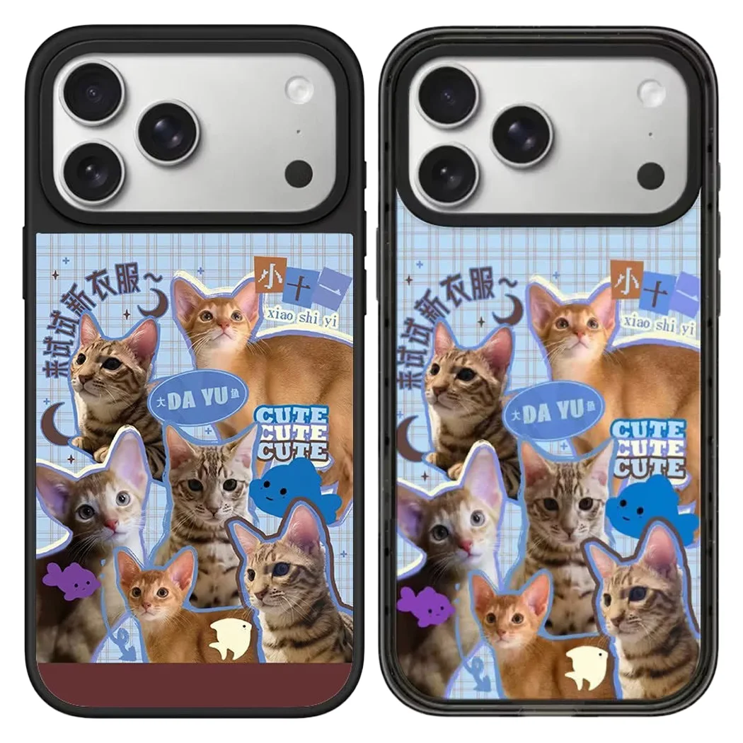 

6040165 Acrylic / Mirror Magnetic Case: Compatible with IPhone 17 16 15 14 13 12 Pro Max 17 Air