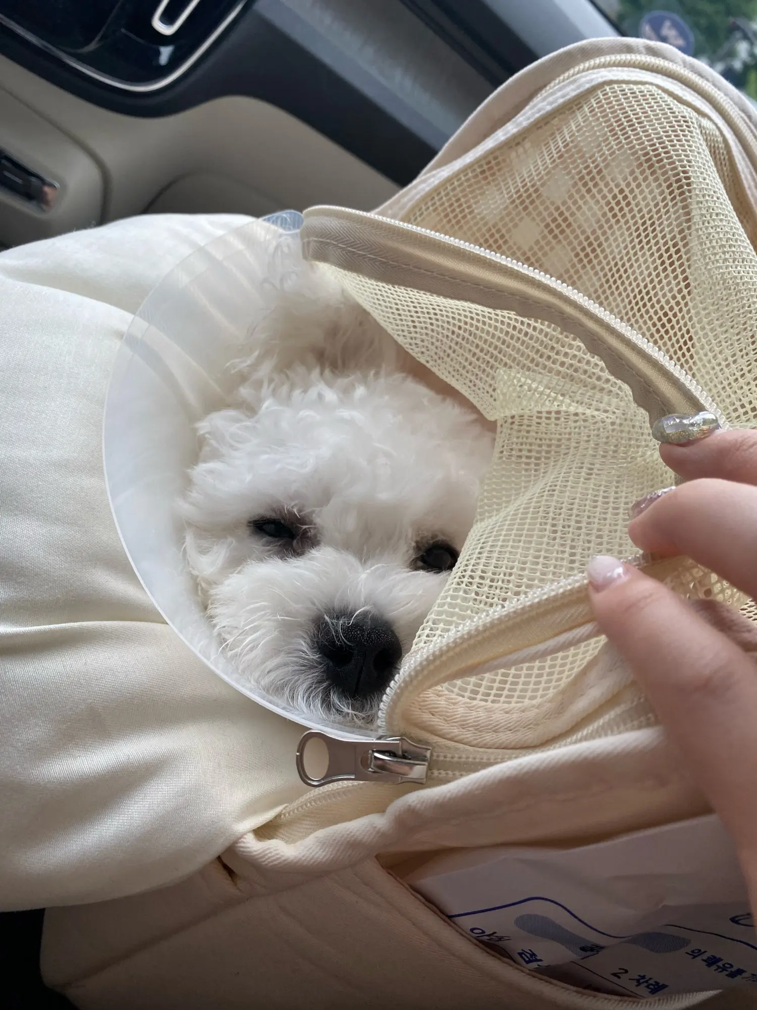 구매후기