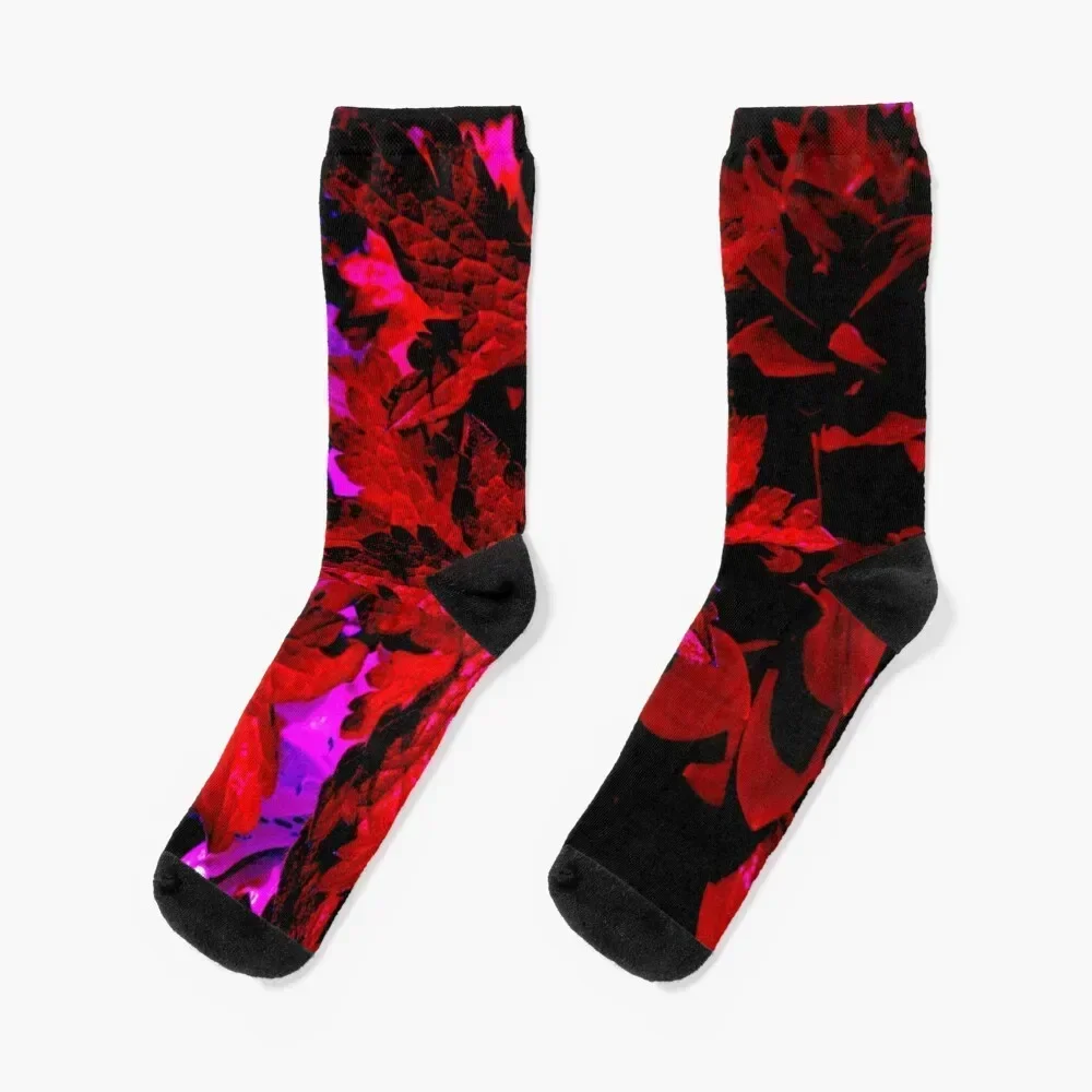 Exploration of Luminescence Socks cute designer brand Socks Men's Women's