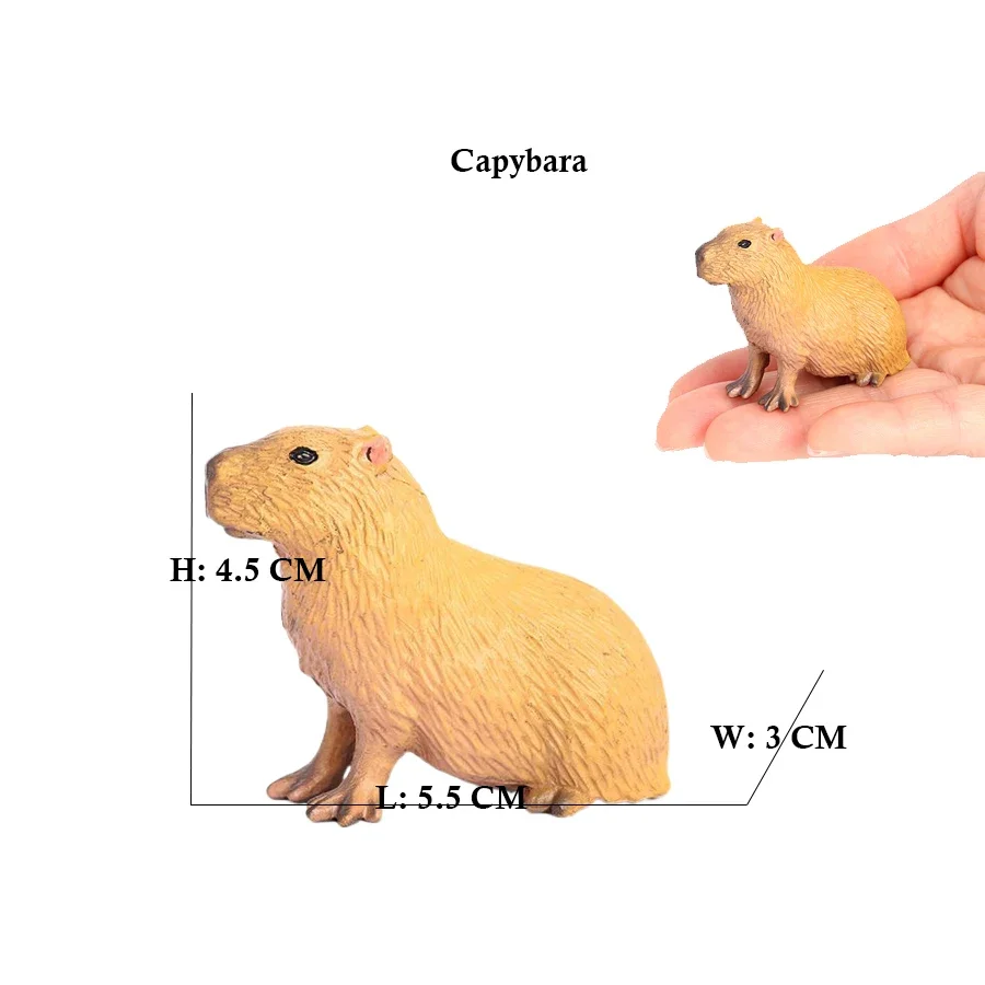 カピバラ カピバラ リス マーモット プラスチック動物置物 アクションフィギュア、子供のお気に入りの野生動物モデル、子供用の収集価値のあるおもちゃ