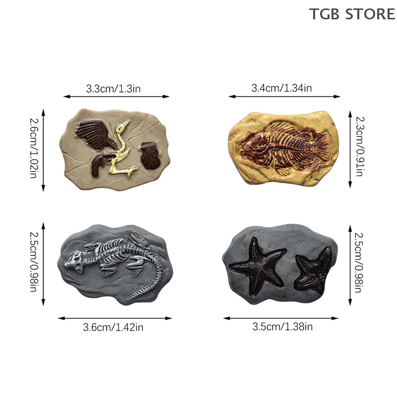 4 pezzi/set mini dinosauro fossile modello simulazione miniature artigianato decorazioni micro paesaggio casa delle bambole ornamento giocattolo