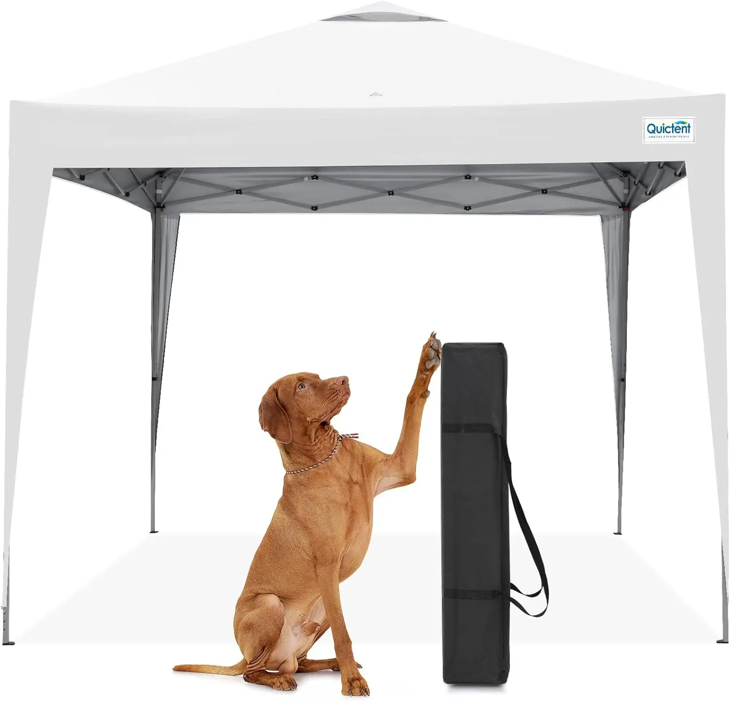 

10x10 Pop Up Canopy Tent Without Sidewall, Instant Setup Gazebo for 1 Person, Portable & Compact, Waterproof & UV Protection,