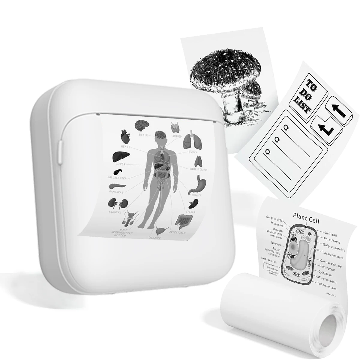 

Portable wireless photo printer, diary, study notes, home, office, memo label printer, Christmas, Halloween, mini printer