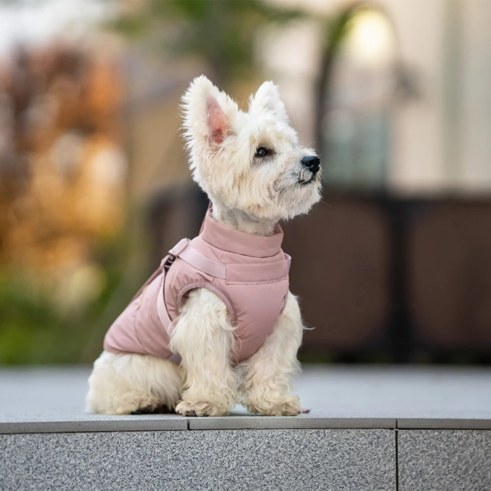 Thumbnail 3 - #38 Cheapest Pet Rain Jackets Deals You Can Get