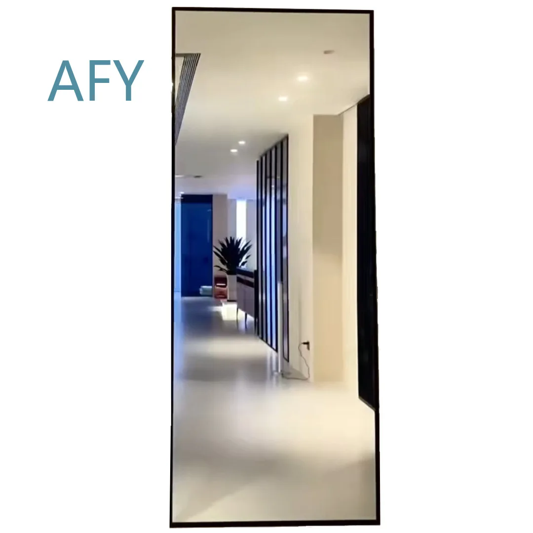 Mirror Door Trackless Sliding Door for Kitchen Bathroom Storage Room Pocket Suspension Mirror Cabinet for Modern Home