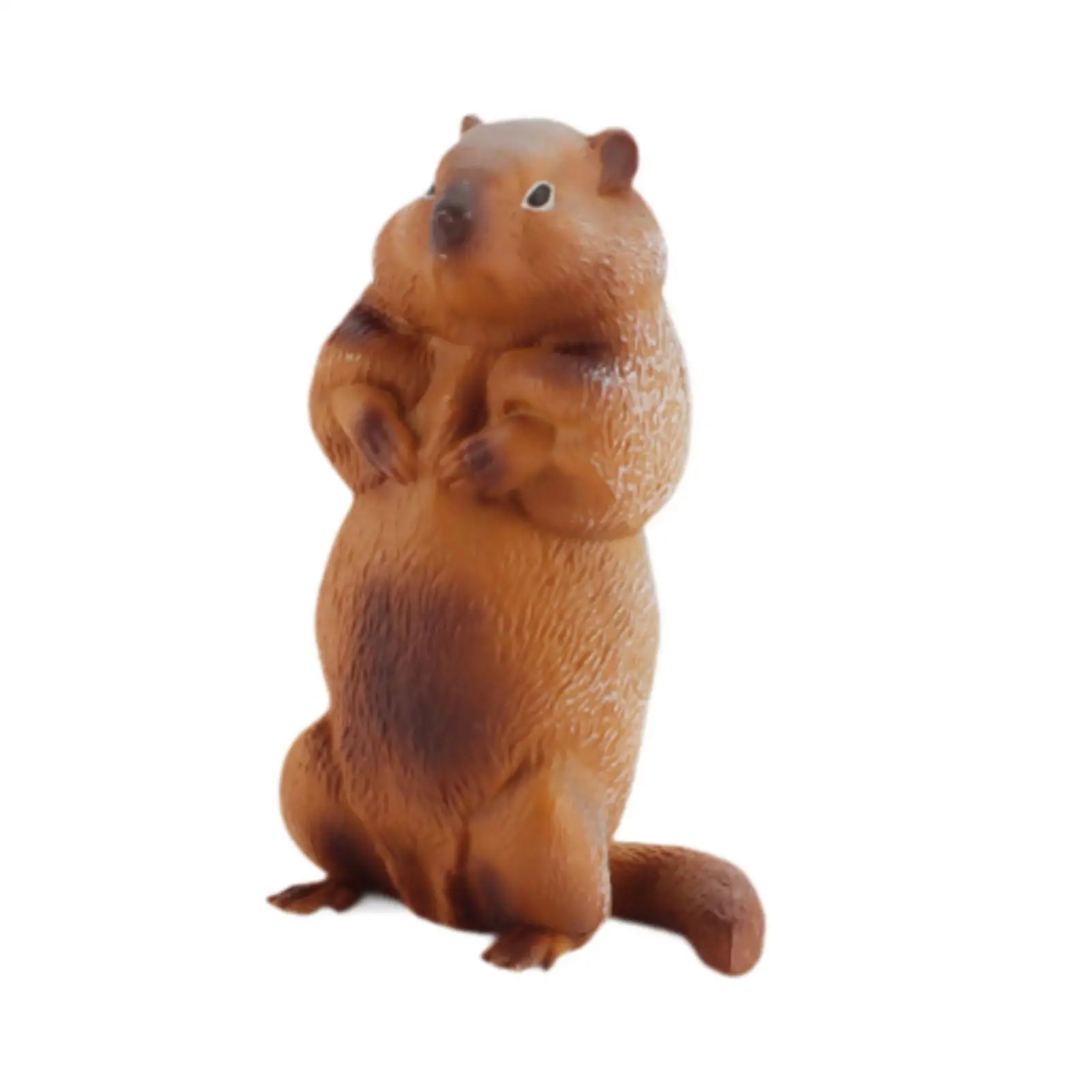 Groundhog Figurine Desktop Decor Sculpture for Housewarming Study Bookshelf