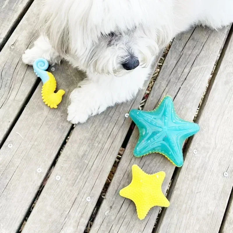 Luminous Starfish Dog Produce Sound, Grind Teeth, Resist Biting, Float In Water, Freeze Large Small Dogs Rubber TPR Toy Products