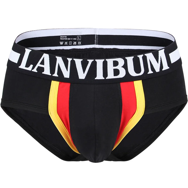 Men Transparent Briefs  Cotton Boys Underwear Calzoncillos Ropa Interior Sexy De Hombre трусы мужские плавки