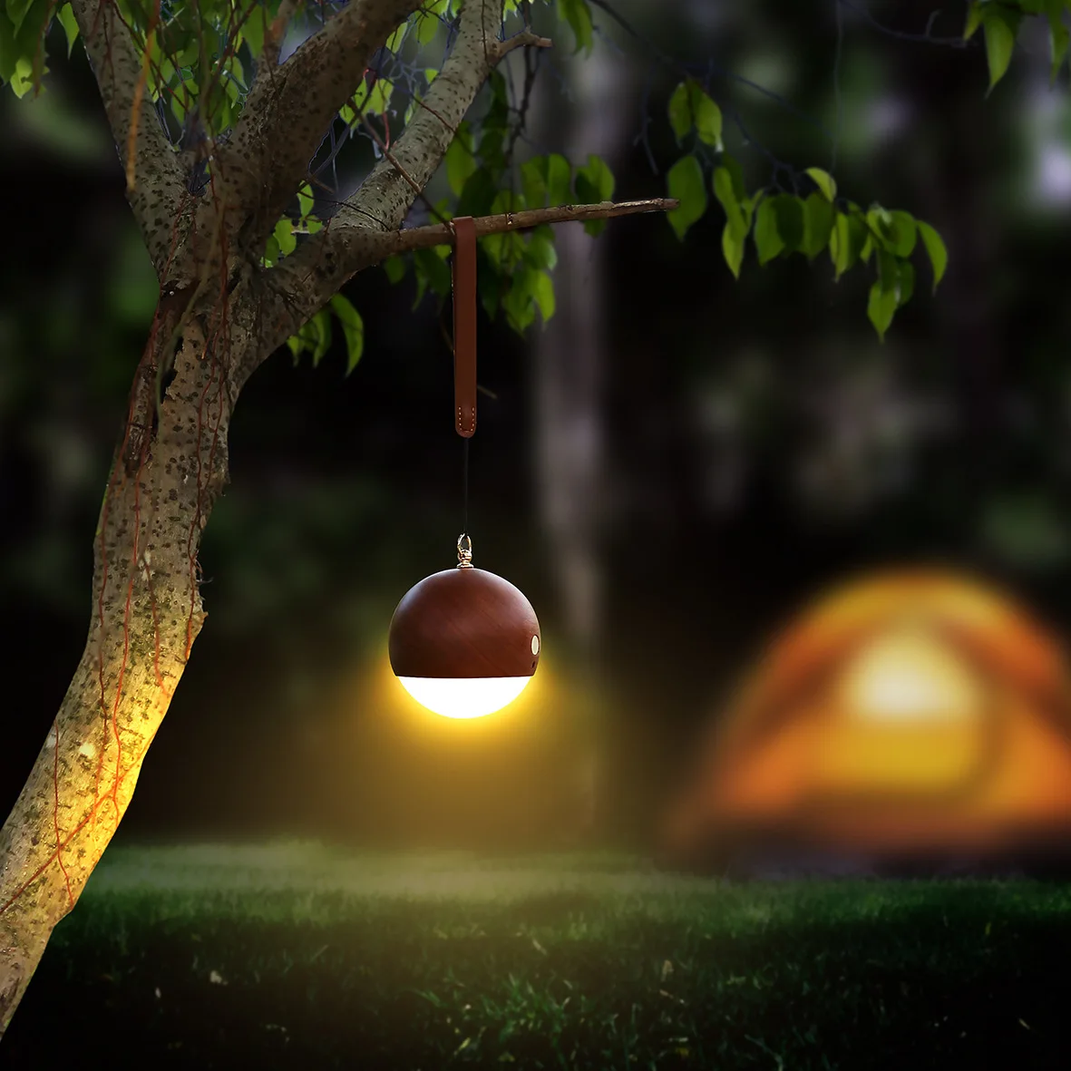 

European Style New Design Portable USB Charging Portable Night Light Bedside Wiring Free Hanging Solid Wood Wall Lamp