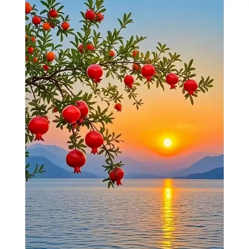 

GATYZTORY Coloring By Numbers Sunset Scenery Frame Painting By Numbers Landscape On Canvas DIY Home Decoration DIY Gift