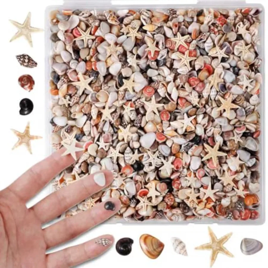 

PPCLION 50pcs Tiny Strarfishand2000Pcs Tiny Mini Small Clam Sea Shells for Crafting Spiral for Crafts Charms Home Decorations C