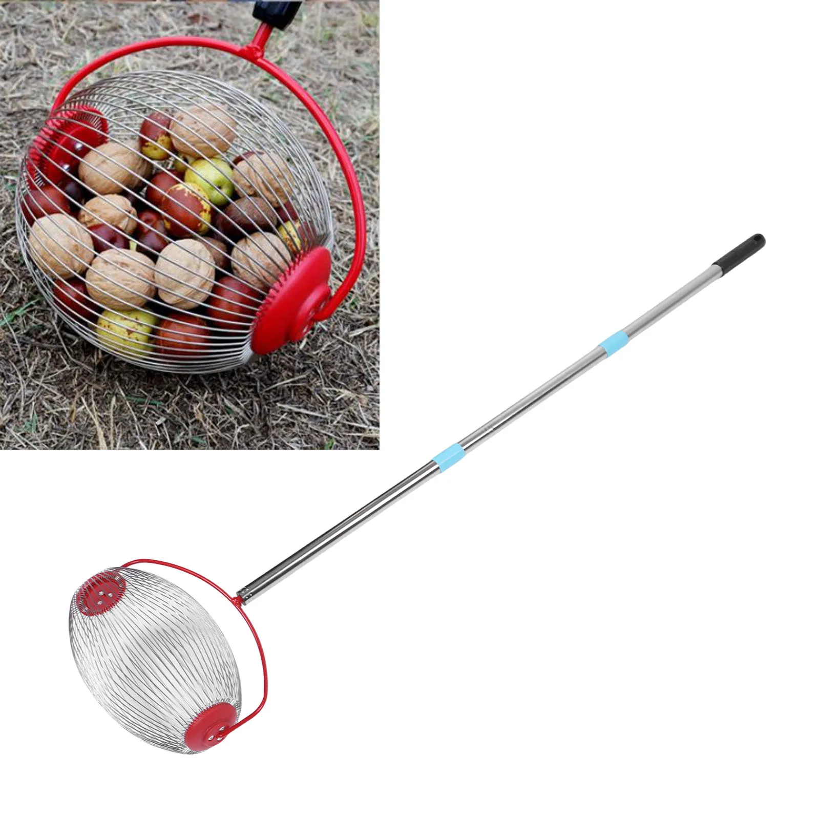 

44.7 Inch Fruit Harvester Stainless Steel Rolling Nut Gatherer 3 Section Multifunctional Acorn Picker Upper Roller for Outdoor
