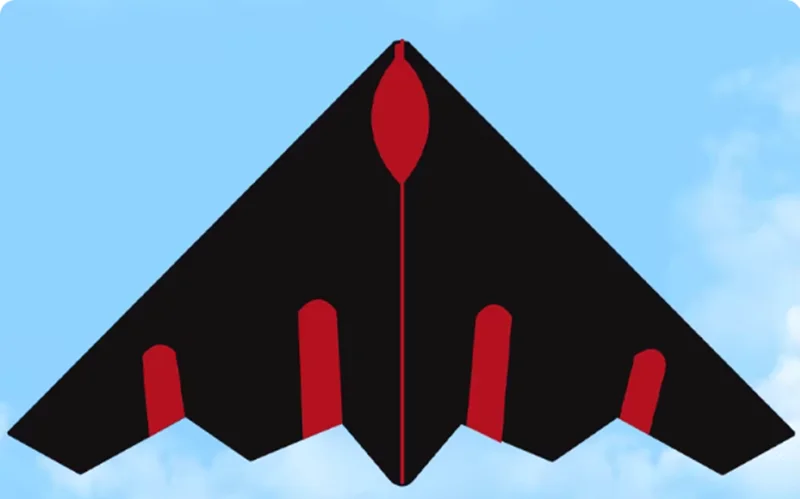 Cerfs-volants d'avion volants, tissu en nylon pour adultes, usine de cerfs-volants, jouets de plein air, ligne de cerf-volants de sport, cerf-volant weifang surf koi