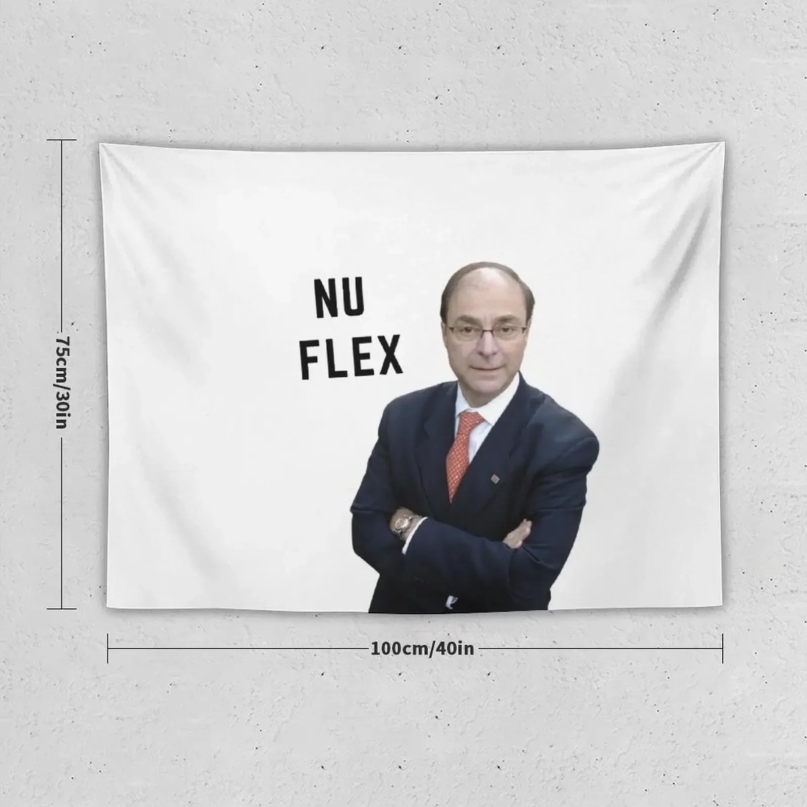 Northeastern University Aoun NUFlex Sticker Tapestry Room Decorator Decorations For Room Room Decorations Aesthetics Tapestry