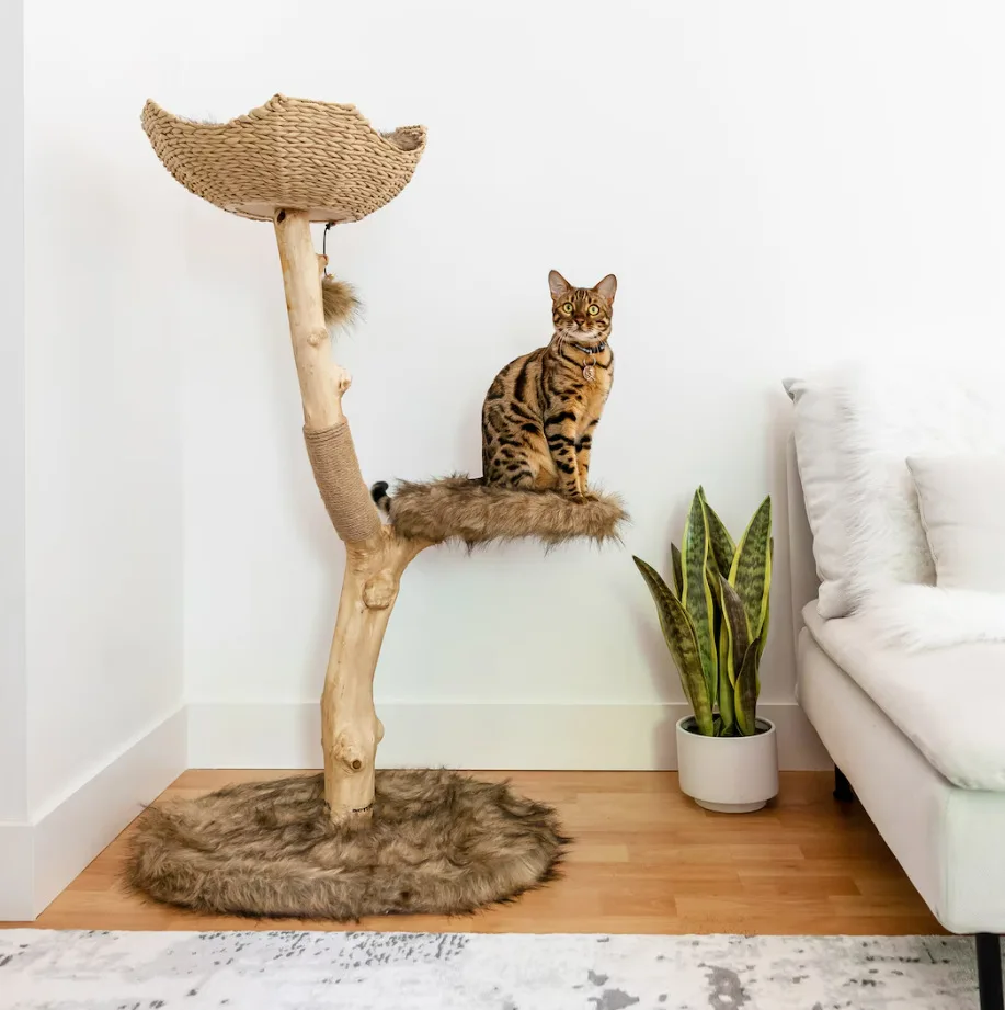 

Cat tree tower, modern single cat apartment, wooden tree, climbing lover gift, furniture