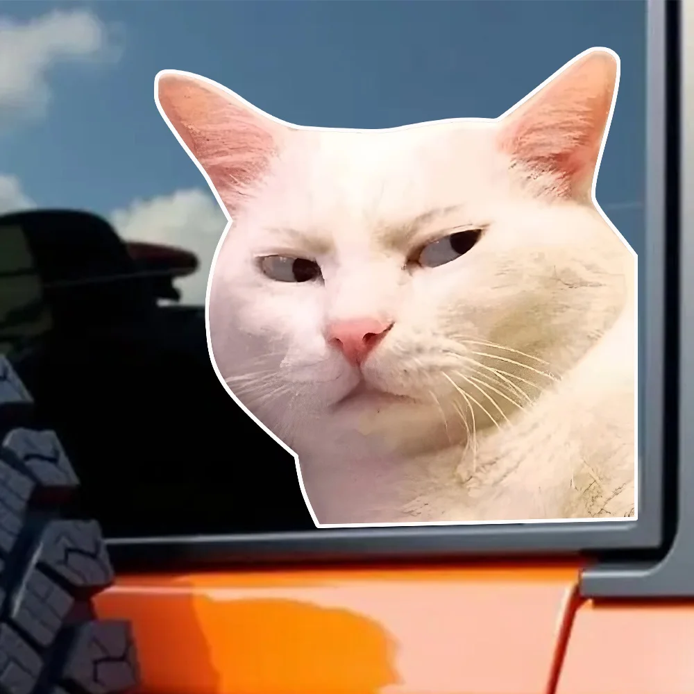 12x12cm, Funny Cat Decorative Car Stickers , Adhesive Sticker for Cars, Trucks, Motorcycles, Laptops, – Indoor & Outdoor Use 12x12cm, Funny Cat Decorative Car Stickers , Adhesive Sticker for Cars, Trucks, Motorcycles, Laptops, – Indoor & Outdoor Use