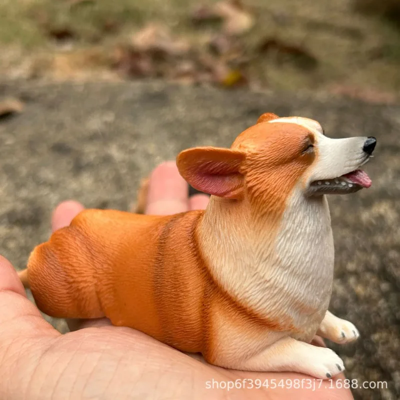 Solid Realistic Corgi Dog Model Welsh Corgi Animal Figure Short Leg Corgi Decor