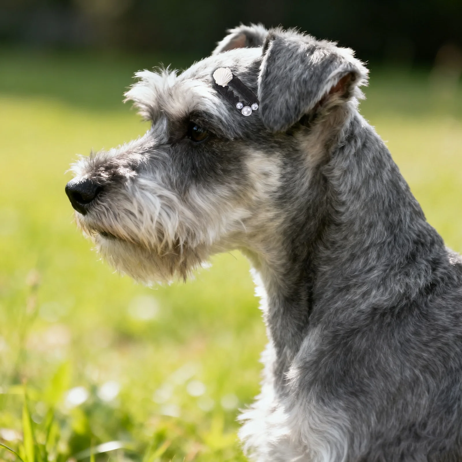 犬猫用ペットヘアクリップ4個、パールビーズ、蝶、ハート、リボンデザイン、小型爪クリップ、子犬子猫用ファッションアクセサリー