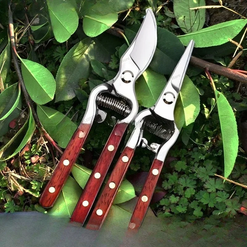 For Fruit Tree Pruning and Pruning, Branch Shearing, Gardening, Potting, Labor-saving Garden Shears