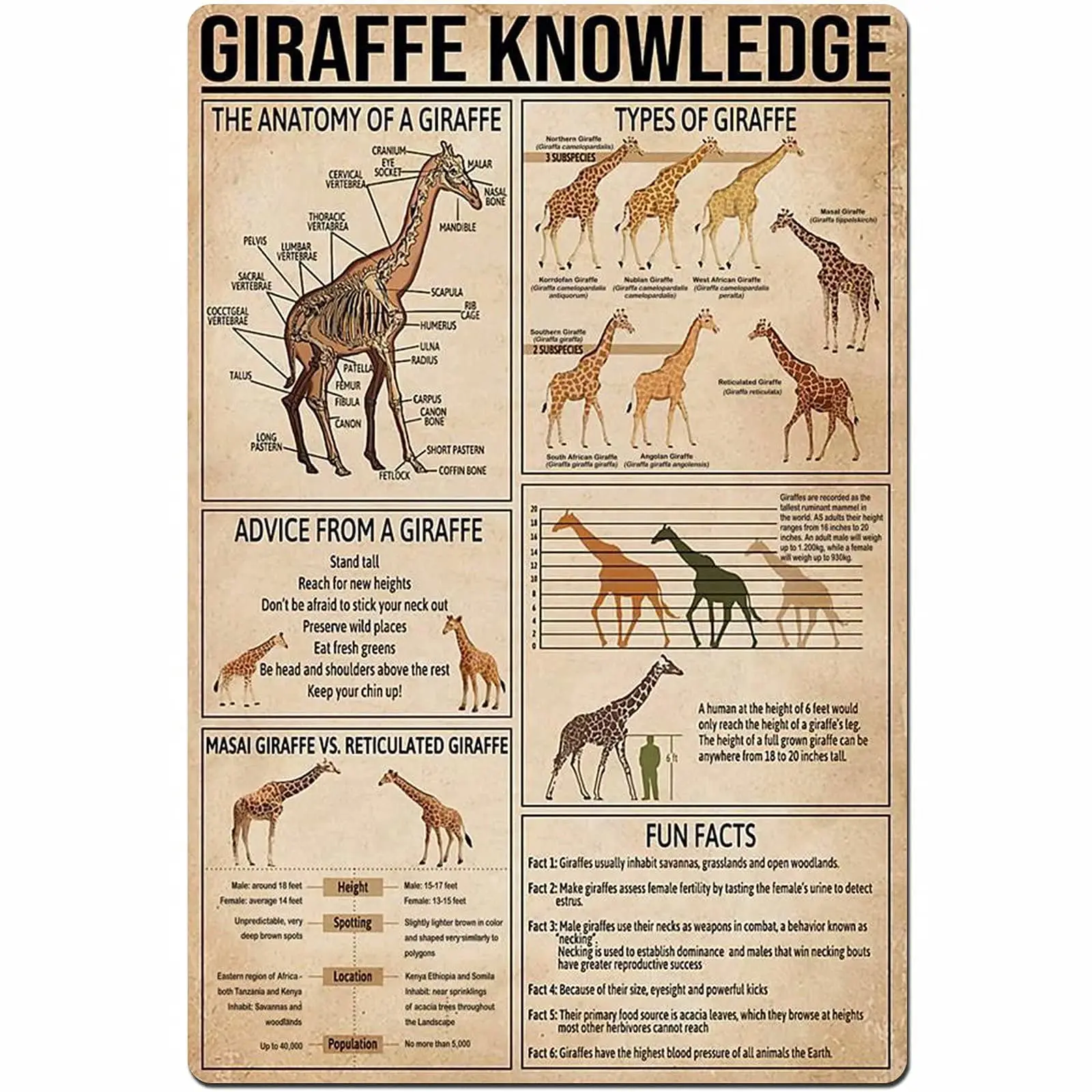 

Veidsuh Giraffe Knowledge Vintage Poster Metal Tin Signs Iron Painting Plaque Wall Decor Bar Club Novelty Bathroom Kitchen Toile