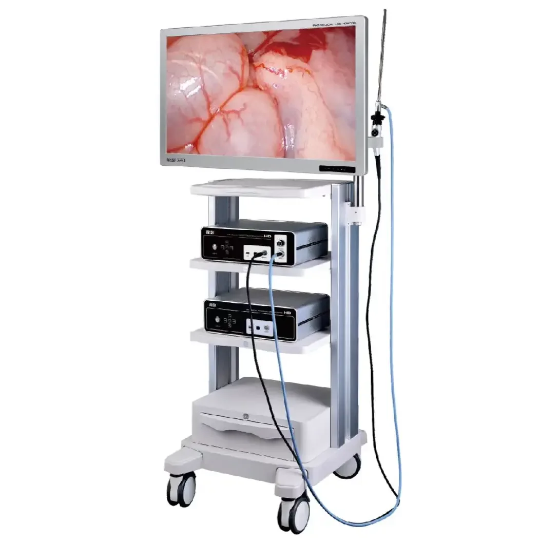 Veterinary instruments full HD endoscope ca-me-ra system configuration 3 in 1 endoscopy machine for animal pet hospital