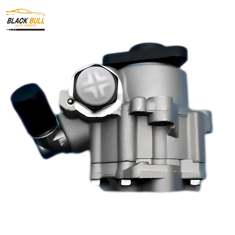 

7691975919 BG3T3A674AA 71146 1993100R Power Steering Pump for Ford Ranger
