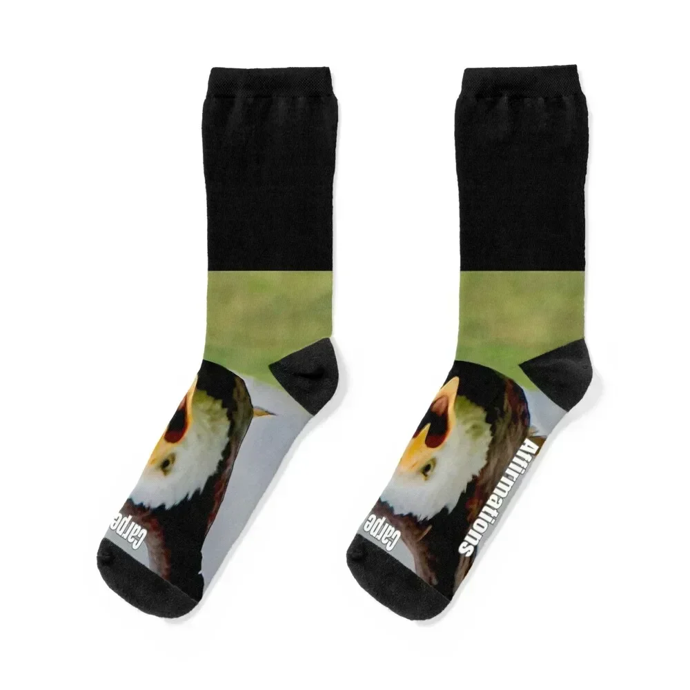 Affirmation Socks retro funny gift fashionable Socks Female Men's