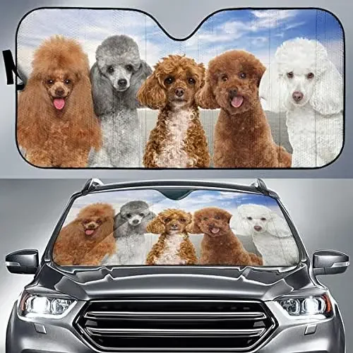 Poodle Team Blue Sky Pattern Car Sunshade, Auto Sunshade para carro, Janela Sun Cover para o Amante Poodle, Cute Family