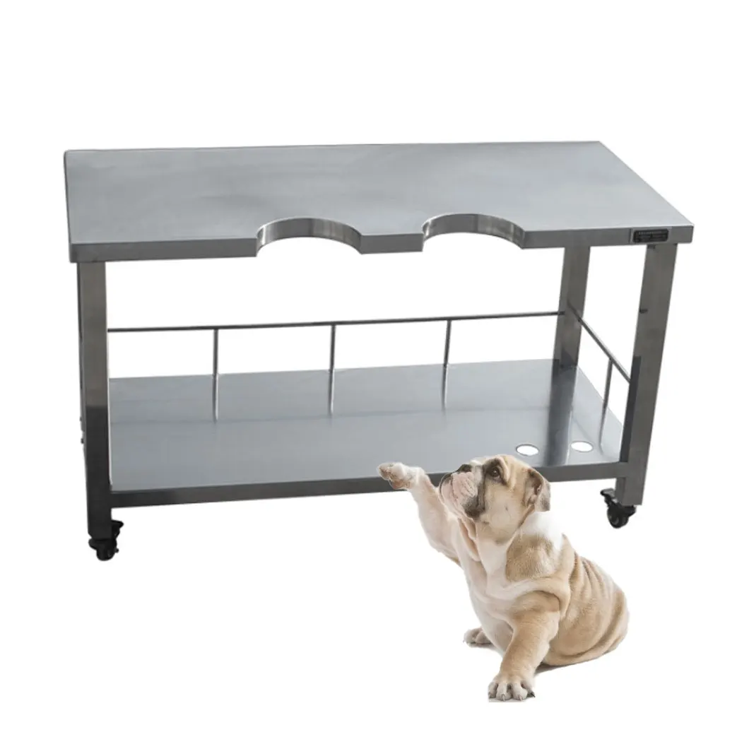 Good price Veterinary Surgery Equipment vet surgical stainless steel pet B-mode ultrasound table