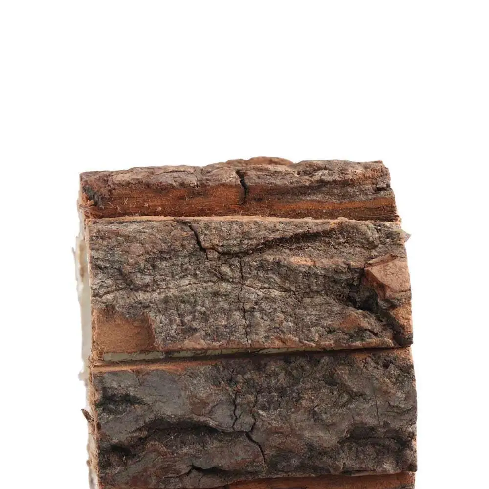 

Stationery Storage Wooden Bark Pen Holder Multifunctional Cosmetic Holder Desktop Organizer Minimalism Stationery Box