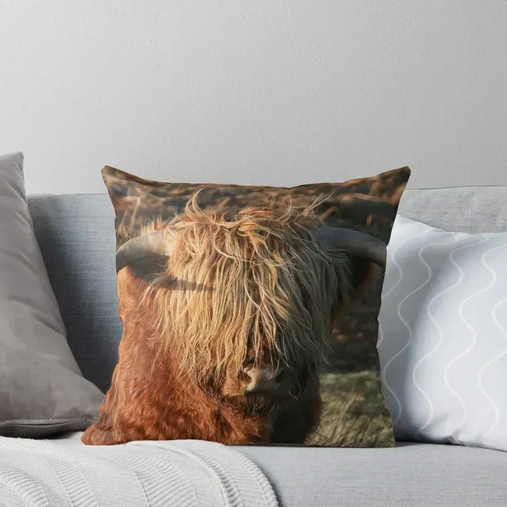 

Highland Cattle - Highland Cow - Highlander Throw Pillow Decorative Cushions Covers For Sofas pillow
